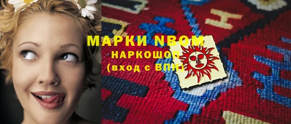 сатива Сосновка