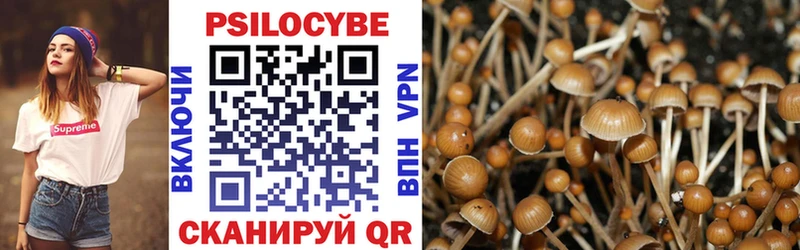 продажа наркотиков  Артёмовский  Псилоцибиновые грибы Magic Shrooms 